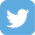 Twitter icon